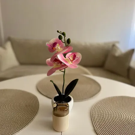 Orchid